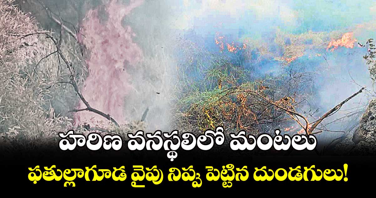 హరిణ వనస్థలిలో మంటలు .. ఫతుల్లాగూడ వైపు నిప్పు పెట్టిన దుండగులు!