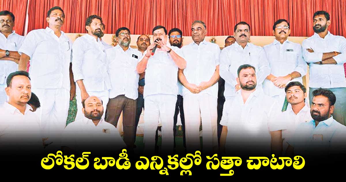 లోకల్​ బాడీ ఎన్నికల్లో సత్తా చాటాలి : ఎమ్మెల్యే బాలూనాయక్  