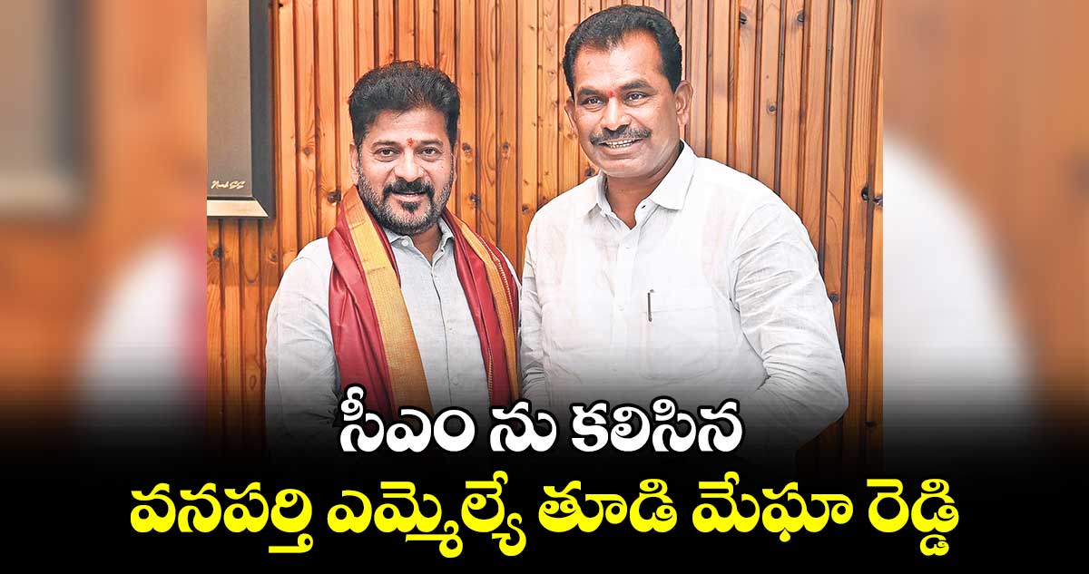 సీఎం ను కలిసిన వనపర్తి ఎమ్మెల్యే తూడి మేఘా రెడ్డి