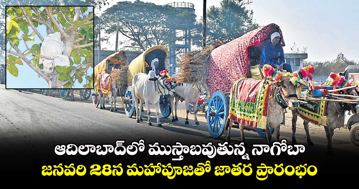 ఆదిలాబాద్⁭లో ముస్తాబవుతున్న నాగోబా.. జనవరి 28న మహాపూజతో జాతర ప్రారంభం 