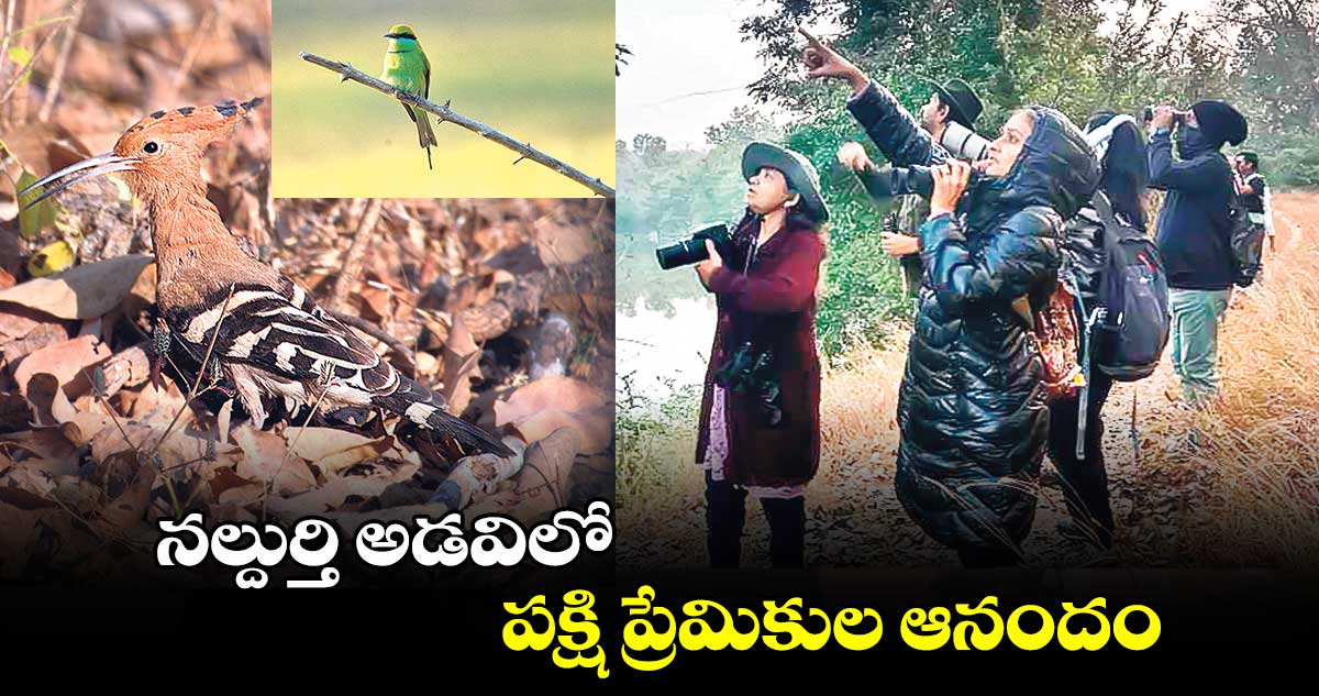 నల్దుర్తి అడవిలో పక్షి ప్రేమికుల ఆనందం