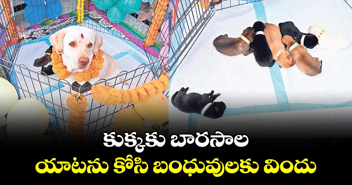 నిజామాబాద్ జిల్లాలో కుక్కకు బారసాల..యాటను కోసి బంధువులకు విందు