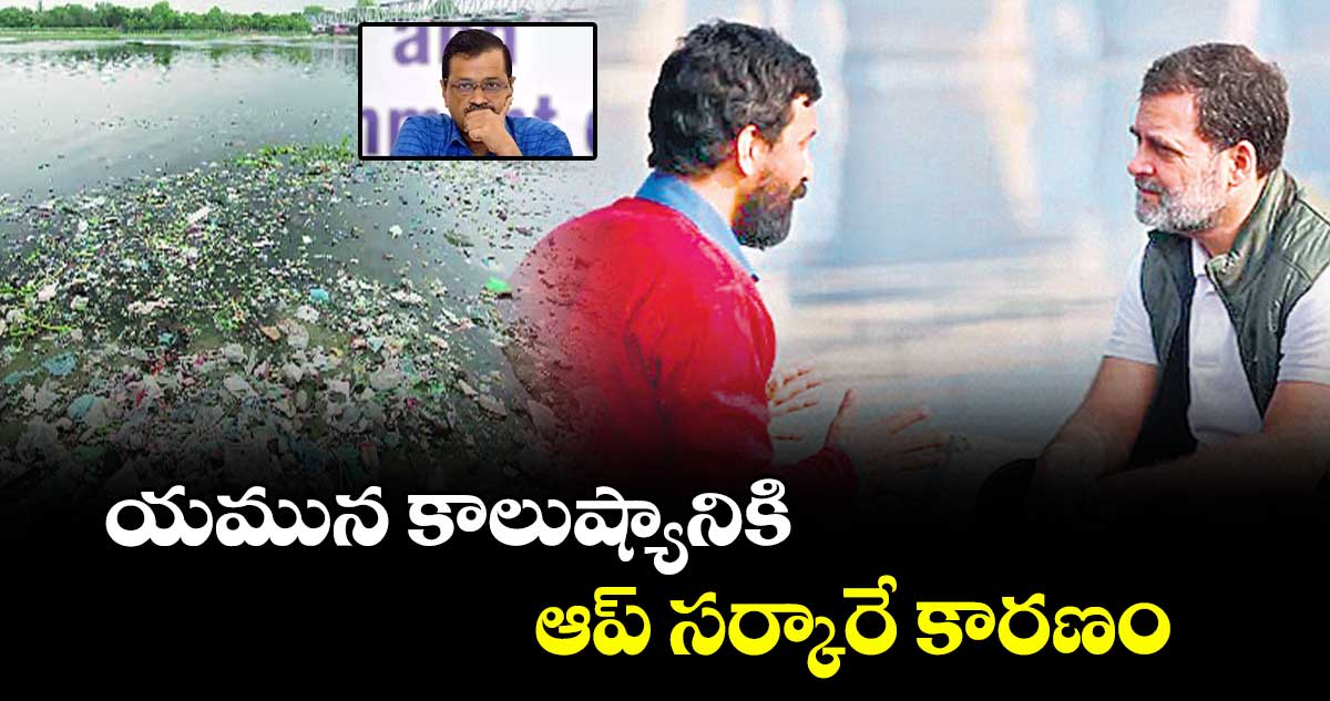 యమున కాలుష్యానికి ఆప్ సర్కారే కారణం: రాహుల్