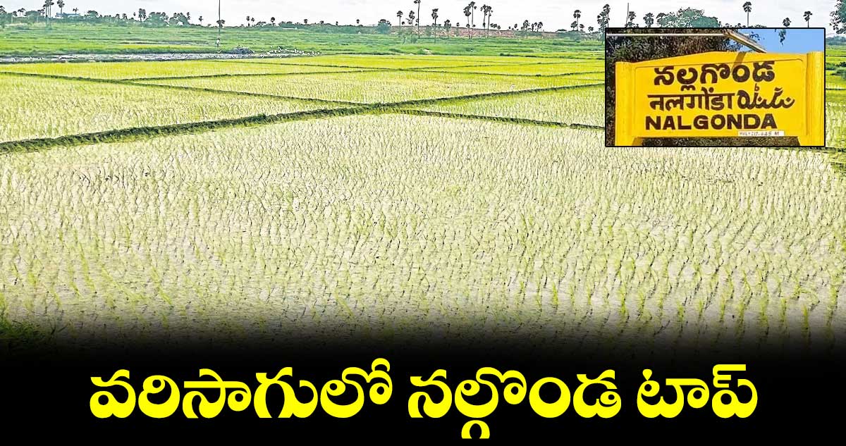  వరిసాగులో నల్గొండ టాప్