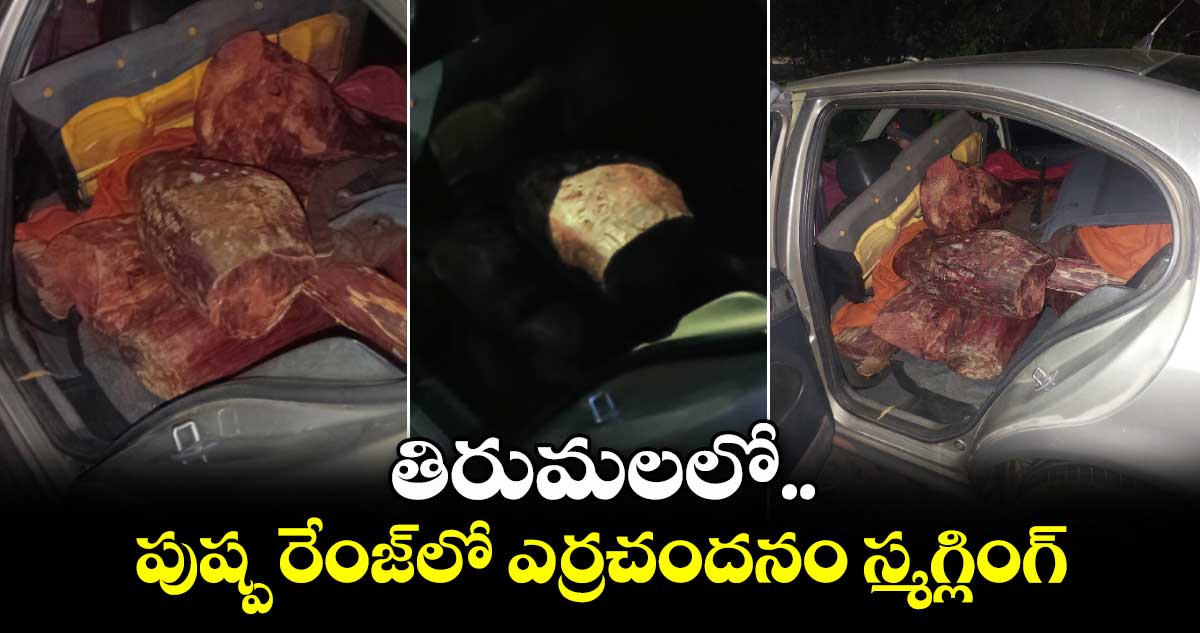 తిరుమలలో పుష్ప రేంజ్ లో ఎర్రచందనం స్మగ్లింగ్..