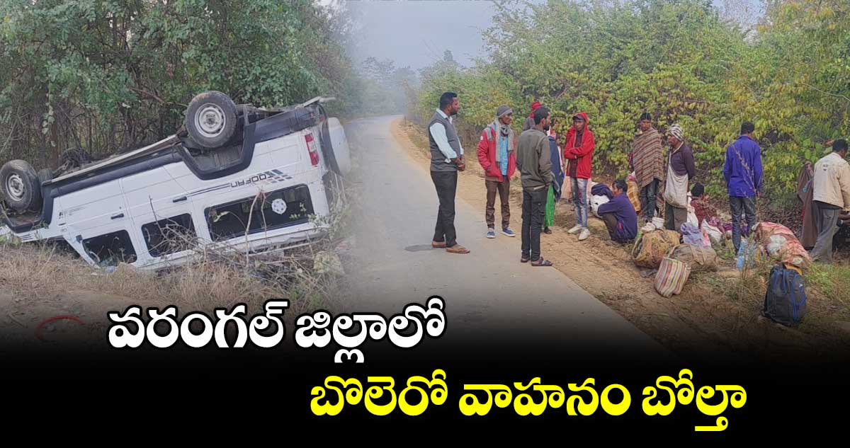 వరంగల్​ జిల్లాలో బొలెరో వాహనం బోల్తా