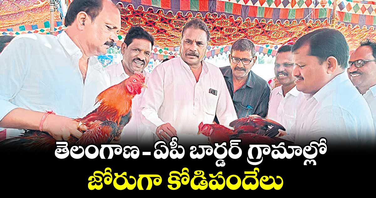 తెలంగాణ - ఏపీ బార్డర్‌ గ్రామాల్లో జోరుగా కోడిపందేలు