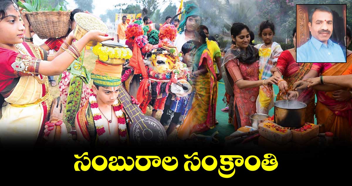 Sankranti festival : సంబురాల సంక్రాంతి