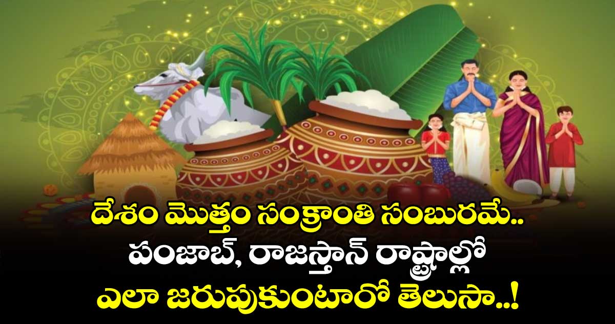 Sankranti Special: దేశం మొత్తం సంక్రాంతి సంబురమే.. పంజాబ్, రాజస్తాన్ రాష్ట్రాల్లో ఎలా జరుపుకుంటారో తెలుసా..!