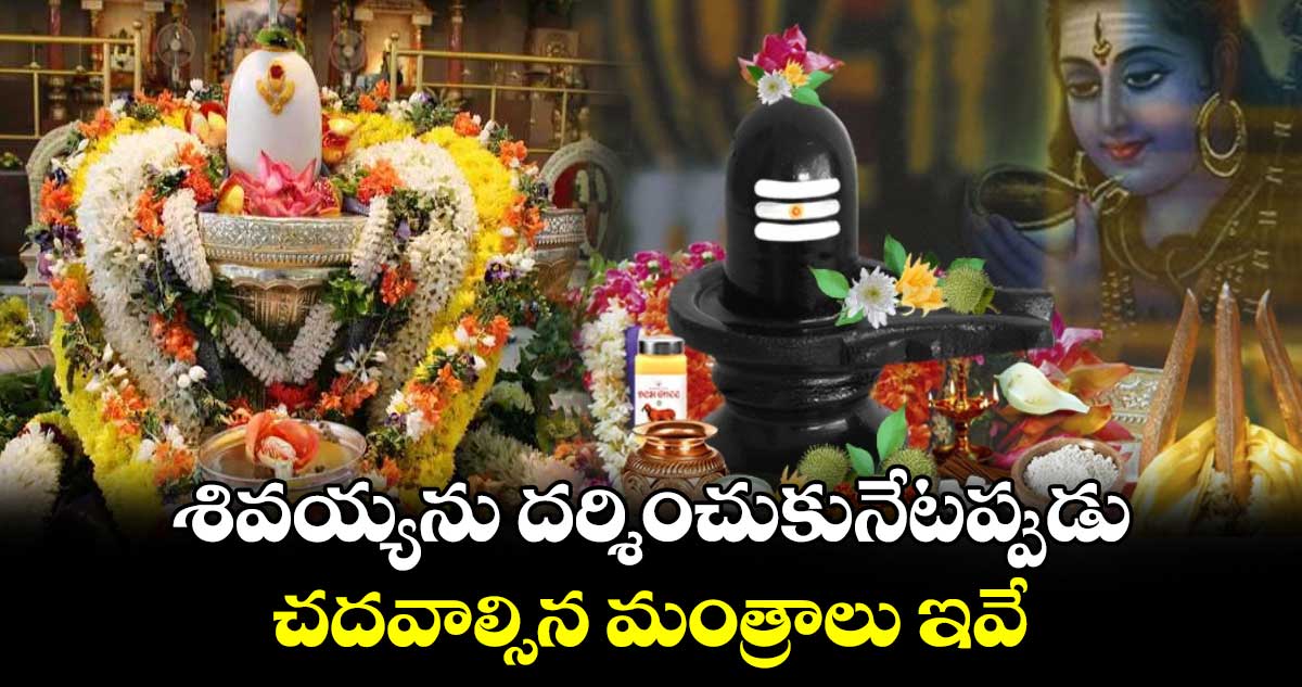 శివయ్యను దర్శించుకునేటప్పుడు చదవాల్సిన మంత్రాలు ఇవే..