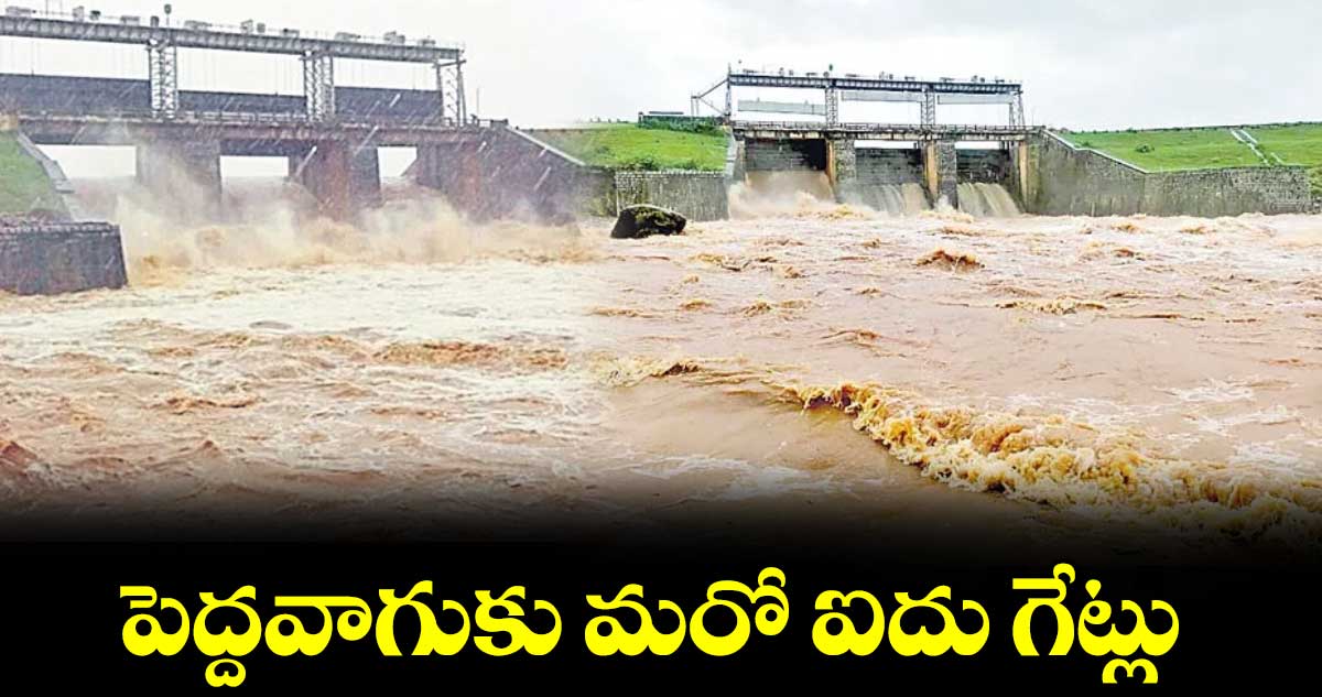 పెద్దవాగుకు మరో ఐదు గేట్లు..