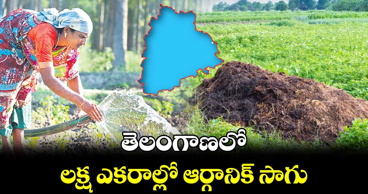 తెలంగాణలో లక్ష ఎకరాల్లో ఆర్గానిక్ సాగు