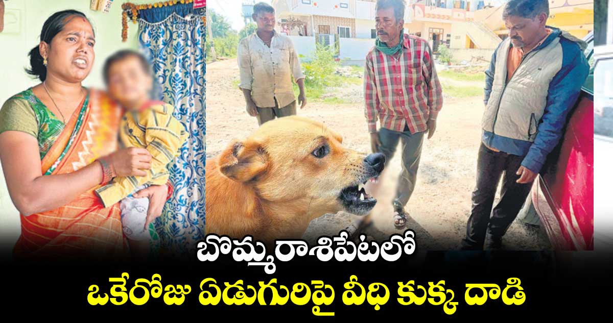 బొమ్మరాశిపేటలో ఒకేరోజు ఏడుగురిపై వీధి కుక్క దాడి