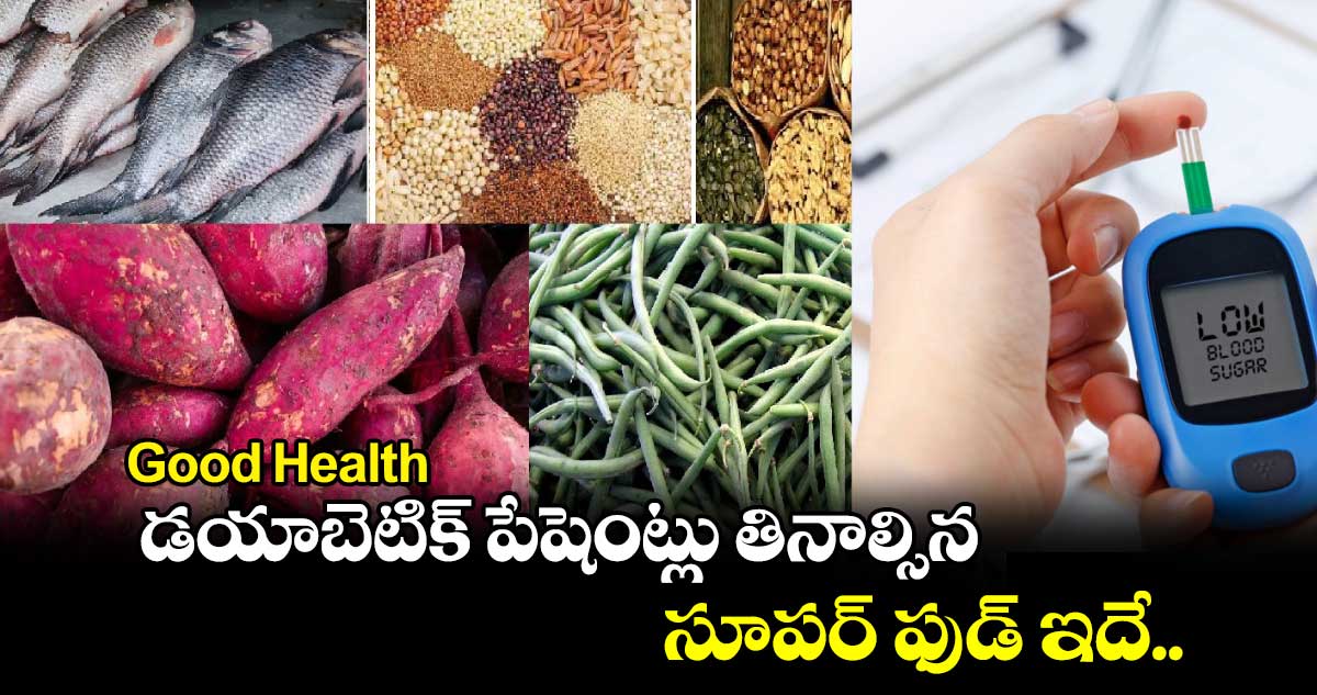 Good Health:  డయాబెటిక్ పేషెంట్లు తినాల్సిన సూపర్ ఫుడ్ ఇదే..