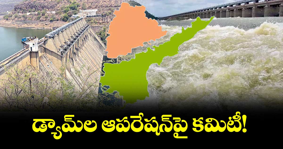 డ్యామ్​ల ఆపరేషన్​పై కమిటీ!