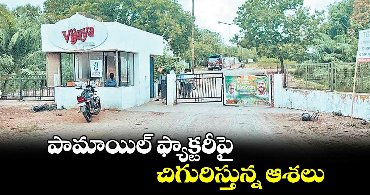 పామాయిల్​ ఫ్యాక్టరీపై  చిగురిస్తున్న ఆశలు