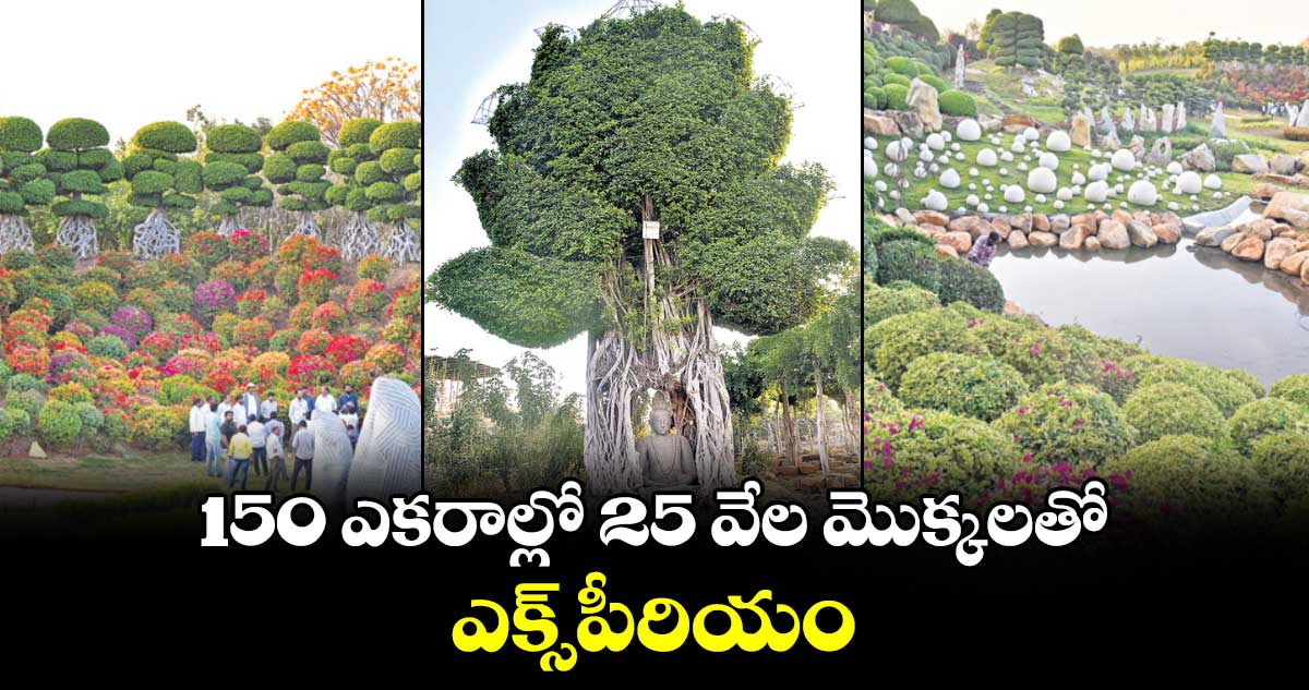 150 ఎకరాల్లో 25 వేల మొక్కలతో ఎక్స్​పీరియం