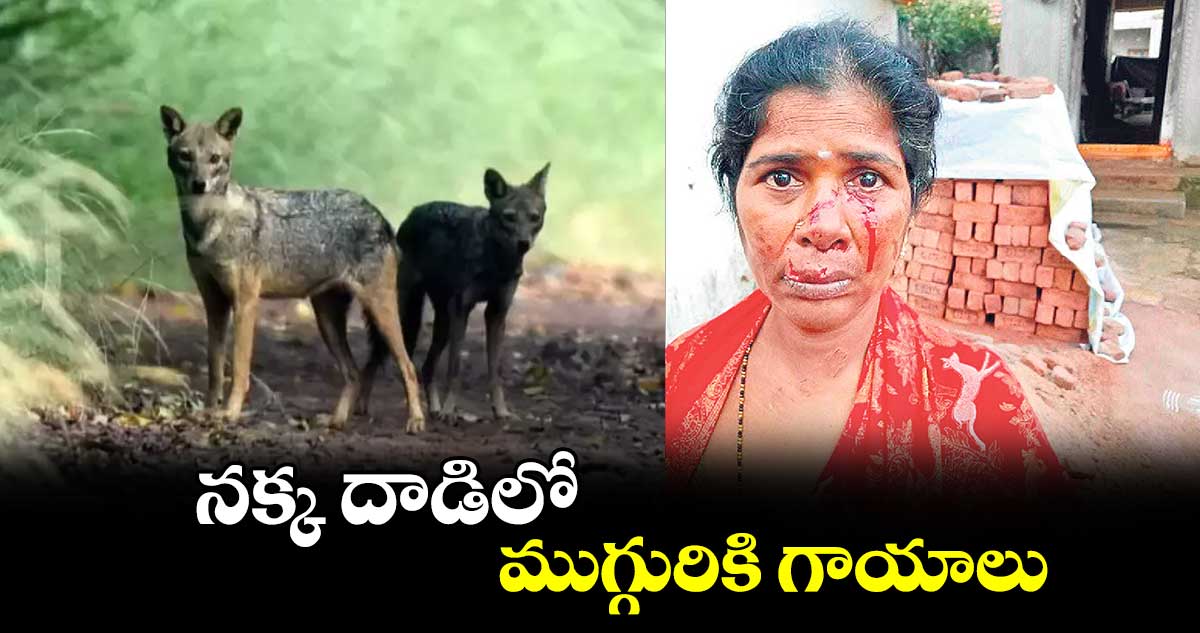 నక్క దాడిలో  ముగ్గురికి గాయాలు