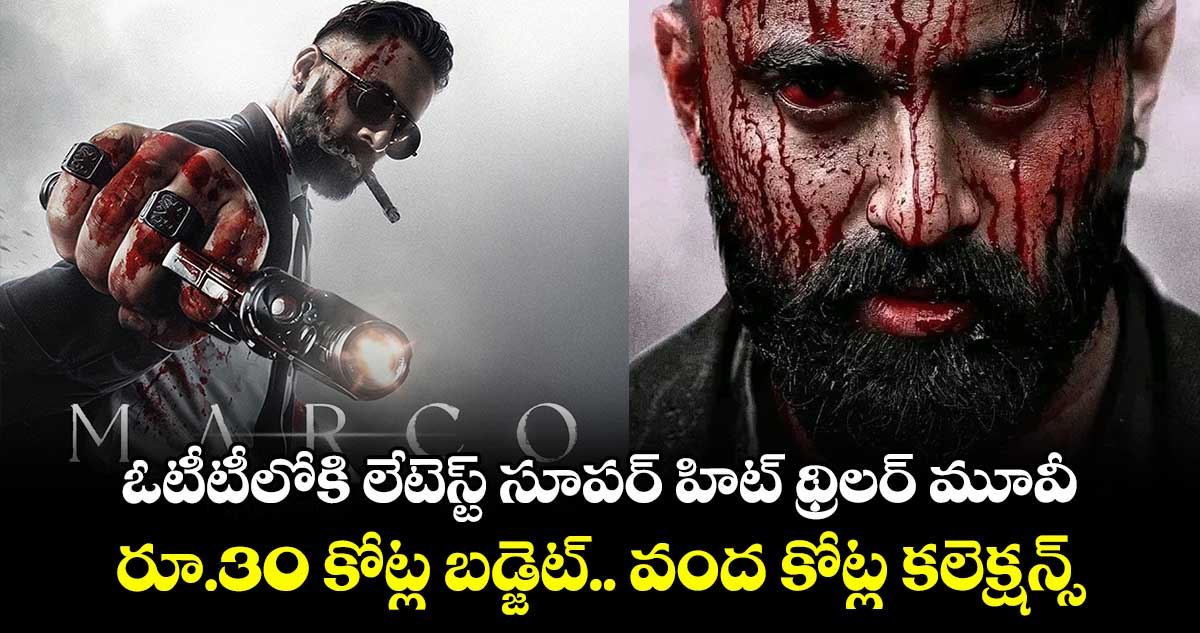 OTT Thriller: అఫీషియల్.. ఓటీటీలోకి లేటెస్ట్ సూపర్ హిట్ థ్రిలర్ మూవీ.. రూ.30 కోట్ల బ‌డ్జెట్.. వంద కోట్ల క‌లెక్ష‌న్స్