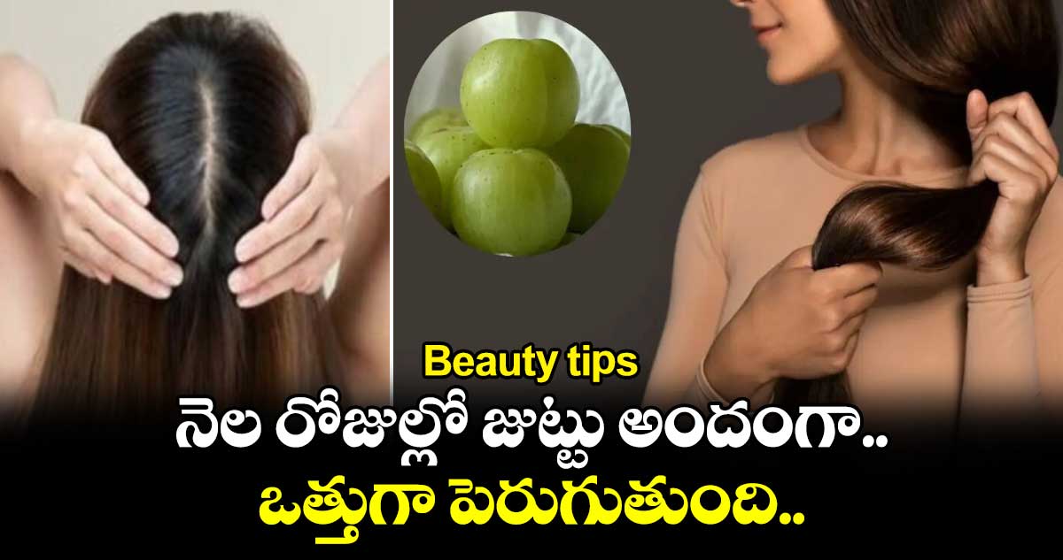 Beauty tips : నెల రోజుల్లో జుట్టు అందంగా .. ఒత్తుగా పెరుగుతుంది..