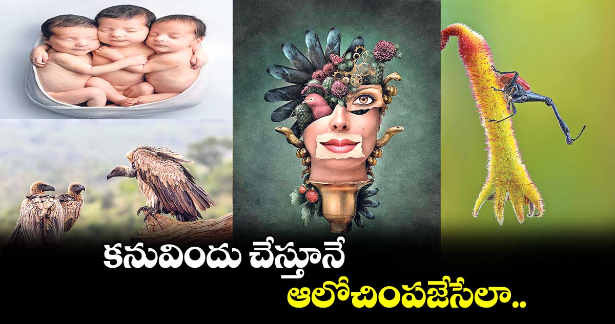 కనువిందు చేస్తూనే.. ఆలోచింపజేసేలా..