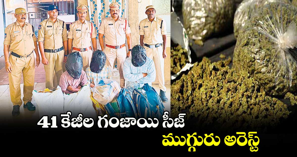 41 కేజీల గంజాయి సీజ్ ..ముగ్గురు అరెస్ట్