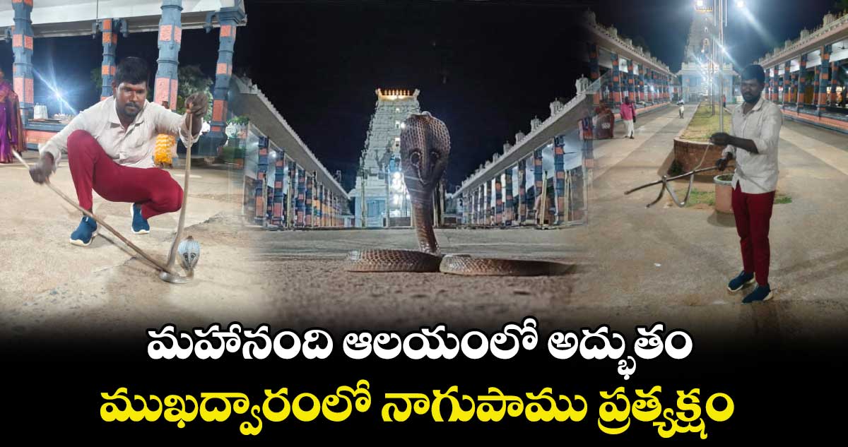 మహానంది ఆలయంలో అద్భుతం.. ముఖద్వారంలో నాగుపాము ప్రత్యక్షం