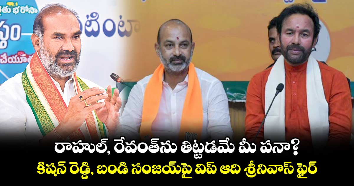 రాహుల్, రేవంత్​ను తిట్టడమే మీ పనా?: కిషన్ రెడ్డి, బండి సంజయ్​పై విప్ ఆది శ్రీనివాస్ ఫైర్