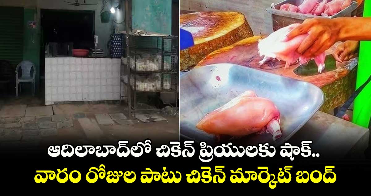 ఆదిలాబాద్‌లో చికెన్ ప్రియులకు షాక్.. వారం రోజుల పాటు చికెన్‌ మార్కెట్‌ బంద్‌