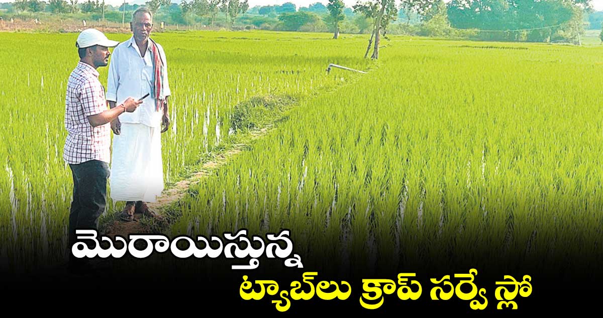 మొరాయిస్తున్న ట్యాబ్​లు క్రాప్​ సర్వే స్లో