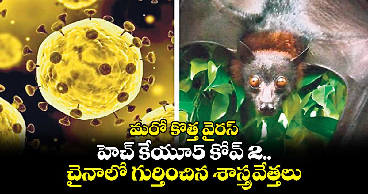 మరో కొత్త వైరస్​: హెచ్ కేయూ5 కోవ్ 2.. చైనాలో గుర్తించిన శాస్త్రవేత్తలు 