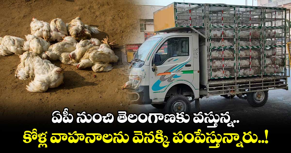 ఏపీ నుంచి తెలంగాణకు వస్తున్న కోళ్ల వాహనాలను వెనక్కి పంపేస్తున్నారు..!