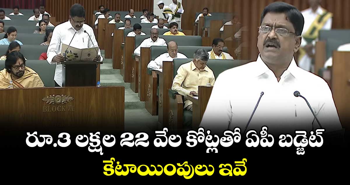 AP Budget: రూ.3 లక్షల 22 వేల కోట్లతో ఏపీ బడ్జెట్.. కేటాయింపులు ఇవే