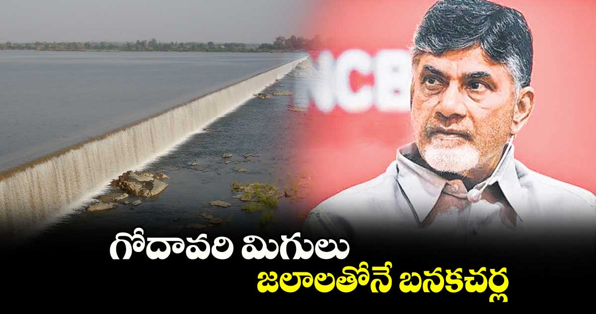 గోదావరి మిగులు జలాలతోనే బనకచర్ల : ఏపీ సీఎం చంద్రబాబు  