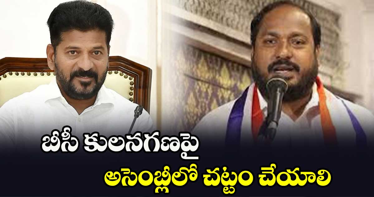 బీసీ కులగణనపై అసెంబ్లీలో చట్టం చేయాలి