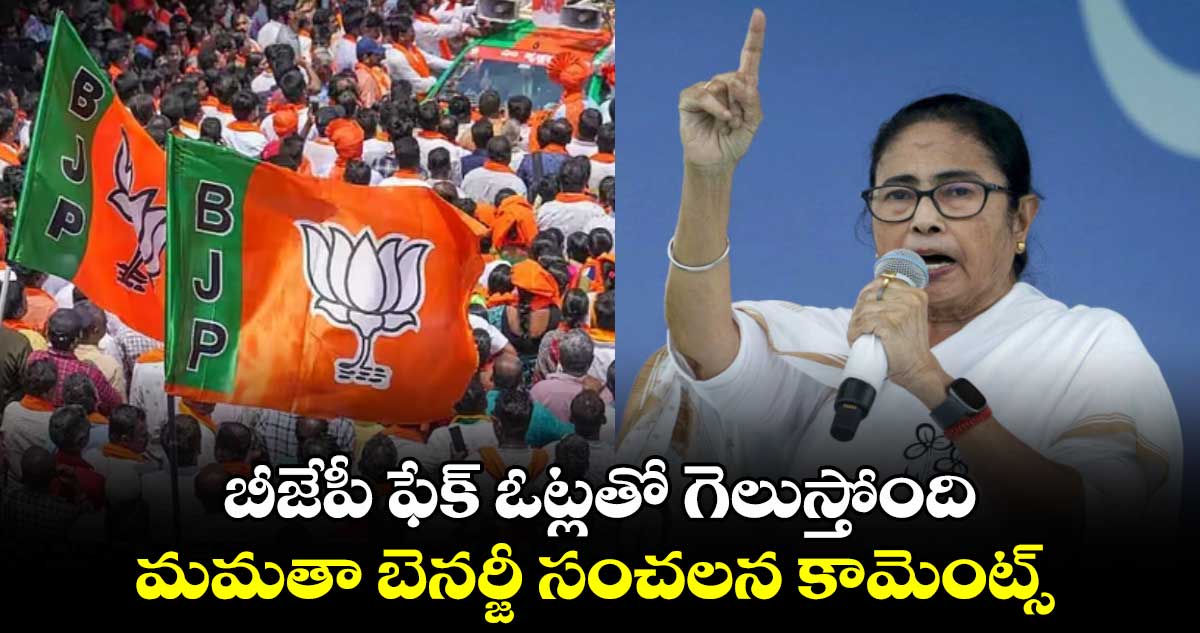 బీజేపీ ఫేక్ ఓట్లతో గెలుస్తోంది: మమతా బెనర్జీ సంచలన కామెంట్స్