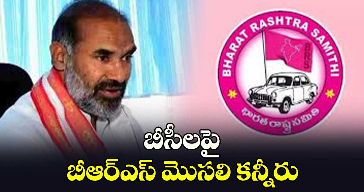 బీసీలపై బీఆర్ఎస్ మొసలి కన్నీరు: విప్ ఆది శ్రీనివాస్
