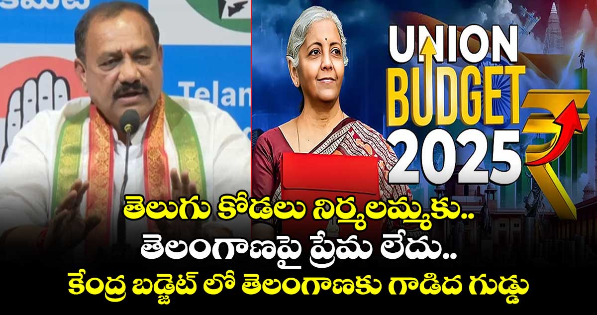 తెలుగు కోడలు నిర్మలమ్మకు.. తెలంగాణపై ప్రేమ లేదు.. కేంద్ర బడ్జెట్​ లో తెలంగాణకు  గాడిద గుడ్డు