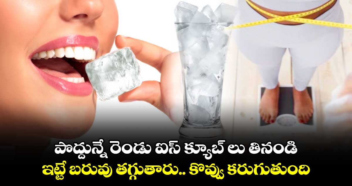 Weight loss:  పొద్దున్నే  రెండు ఐస్​ క్యూబ్​ లు తినండి.. ఇట్టే బరువు తగ్గుతారు.. కొవ్వు కరుగుతుంది..