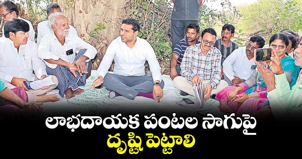 లాభదాయక పంటల సాగుపై దృష్టి పెట్టాలి : కలెక్టర్ ముజామ్మిల్ ఖాన్