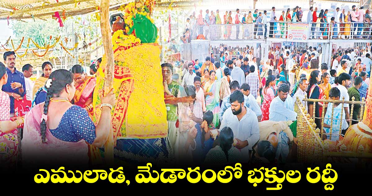 ఎములాడ, మేడారంలో భక్తుల రద్దీ