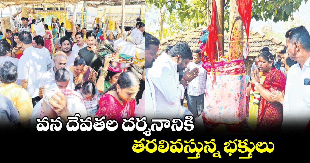 వన దేవతల దర్శనానికి తరలివస్తున్న భక్తులు