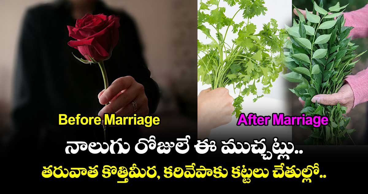 నాలుగు రోజులే ఈ ముచ్చట్లు.. తరువాత కొత్తిమీర, కరివేపాకు కట్టలు చేతుల్లో..