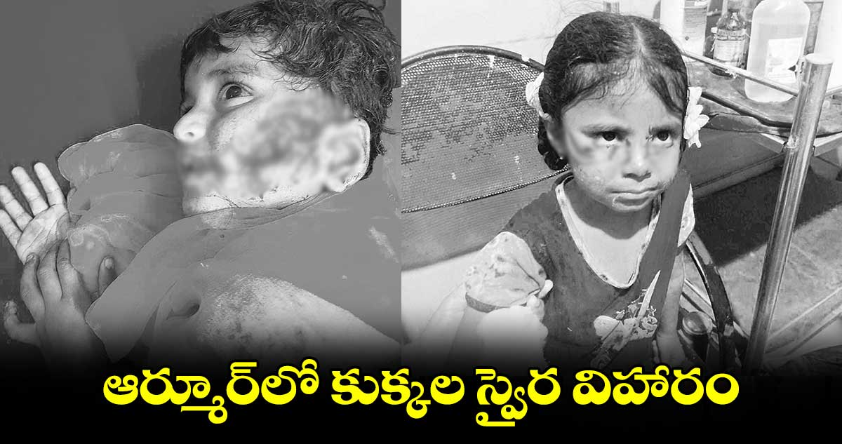 ఆర్మూర్‌‌లో కుక్కల స్వైర విహారం