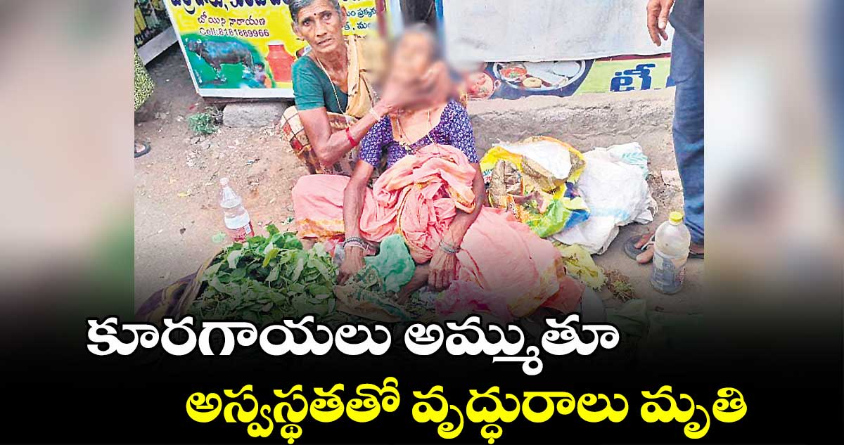 కూరగాయలు అమ్ముతూ అస్వస్థతతో వృద్ధురాలు మృతి 