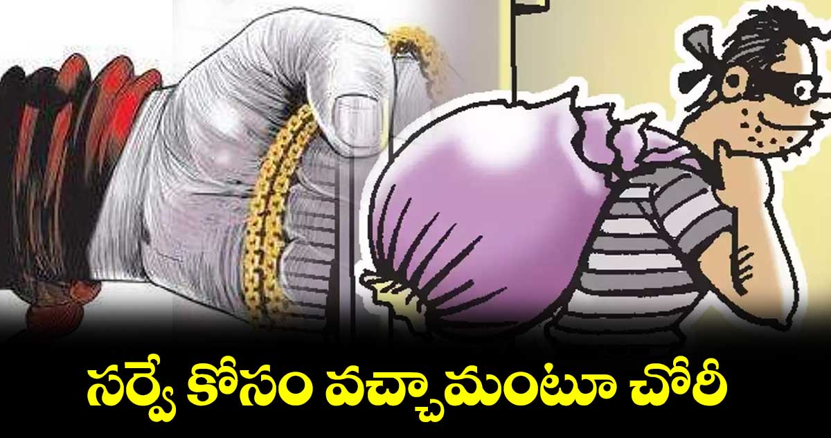 సర్వే కోసం వచ్చామంటూ చోరీ