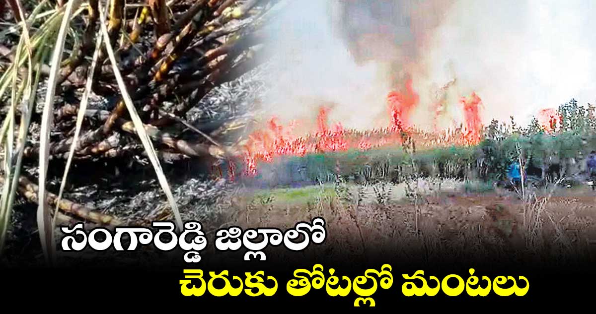 సంగారెడ్డి జిల్లాలో చెరుకు తోటల్లో మంటలు