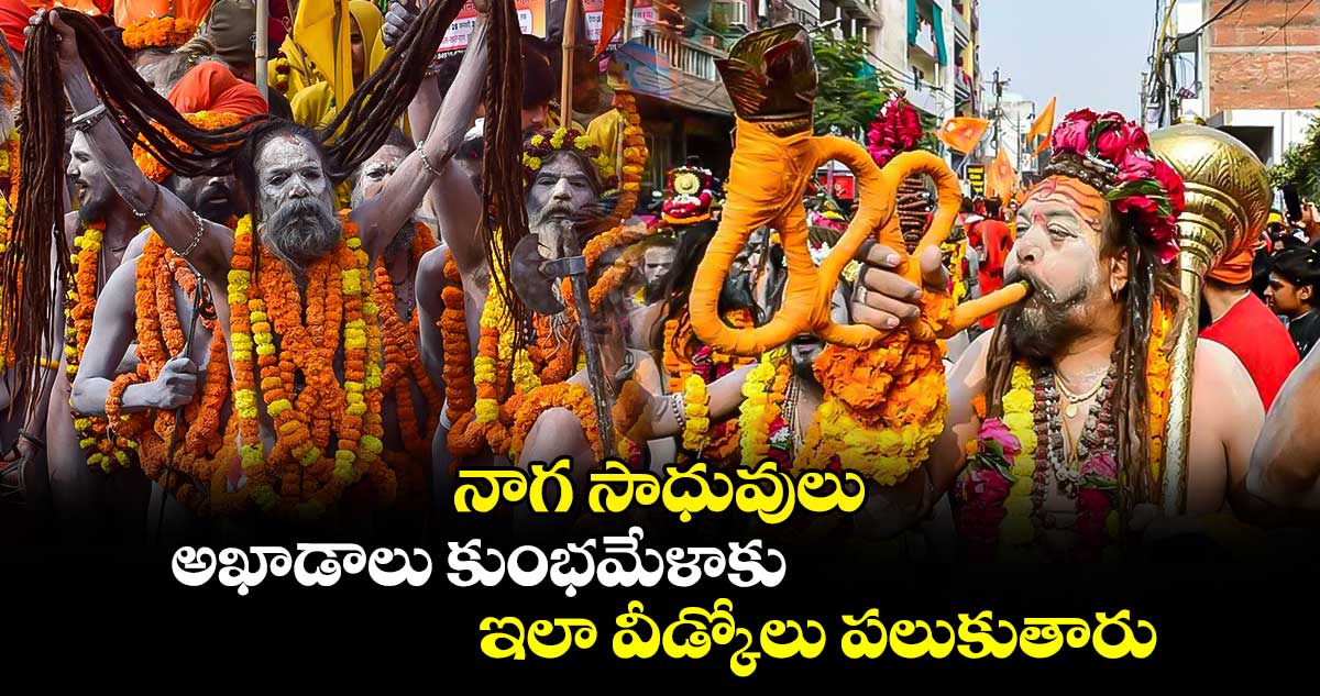 నాగ సాధువులు.. అఖాడాలు కుంభమేళాకు ఇలా వీడ్కోలు పలుకుతారు