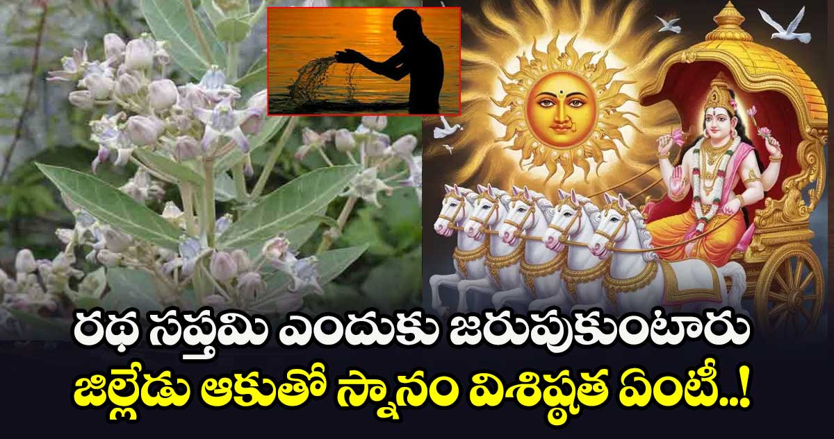 Ratha Saptami : రథ సప్తమి ఎందుకు జరుపుకుంటారు.. జిల్లేడు ఆకుతో స్నానం విశిష్ఠత ఏంటీ..!