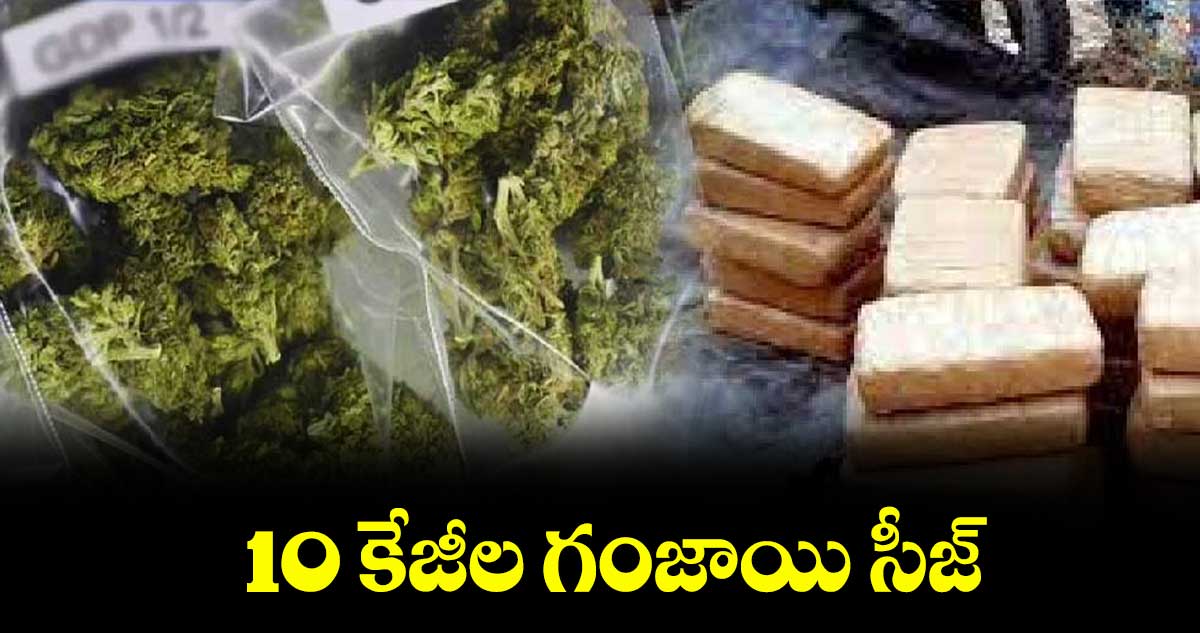 10 కేజీల గంజాయి సీజ్